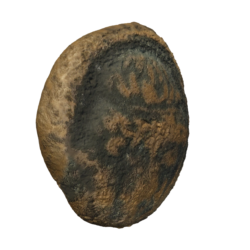 A coin from the Recoin 3D collection, showing its sculpted surface